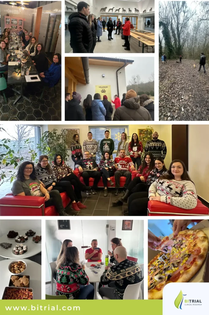 A Year of Achievements at BiTrial — We Appreciate Being on This Journey Together